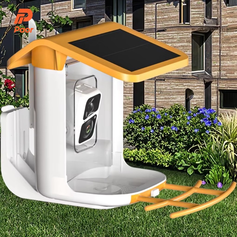 Smart Bird Feeder Camera - New Outdoor Solar Window Smart Birds