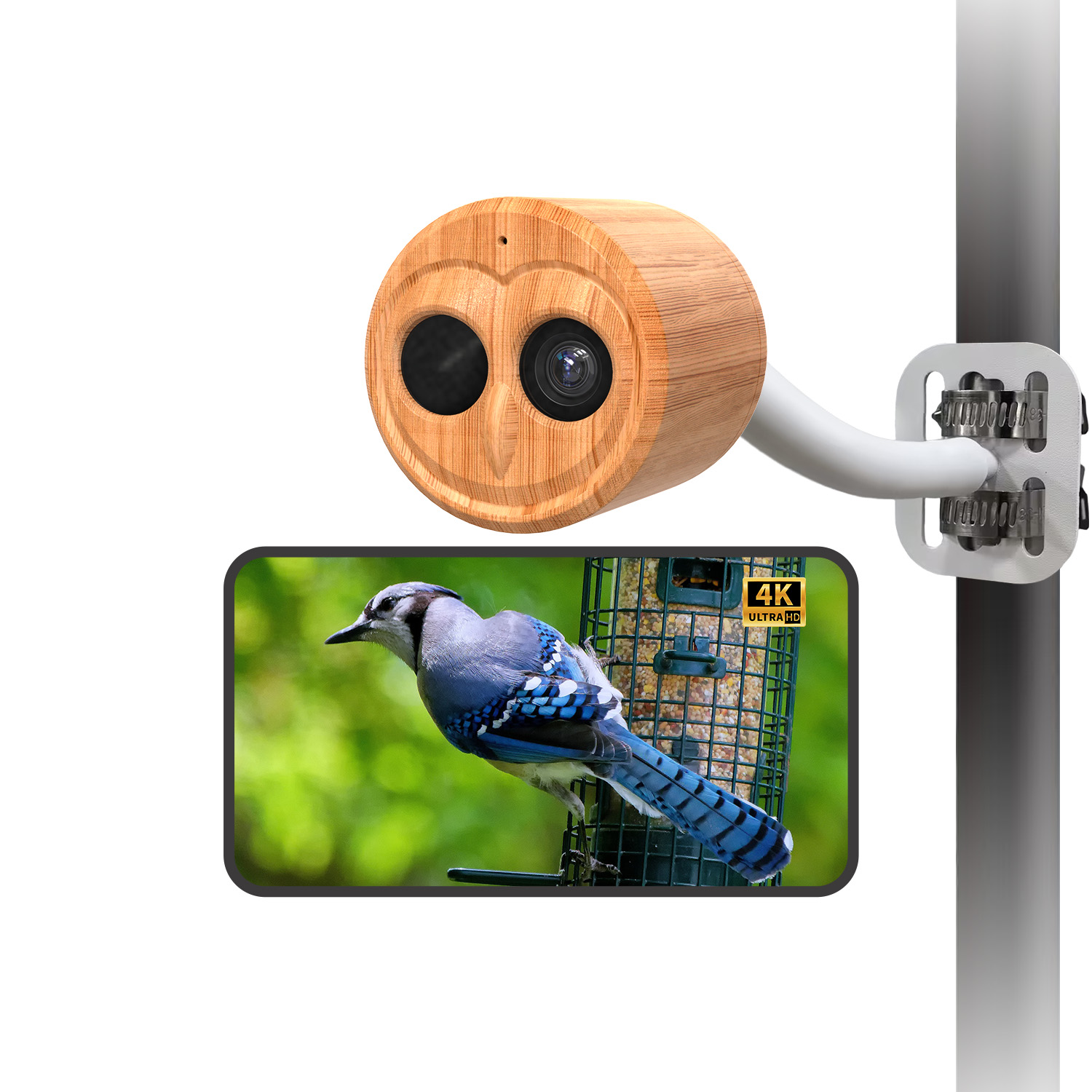 4K Smart Bird Feeder With Came - đánh giá và giá Smart Bird Feeder Camera