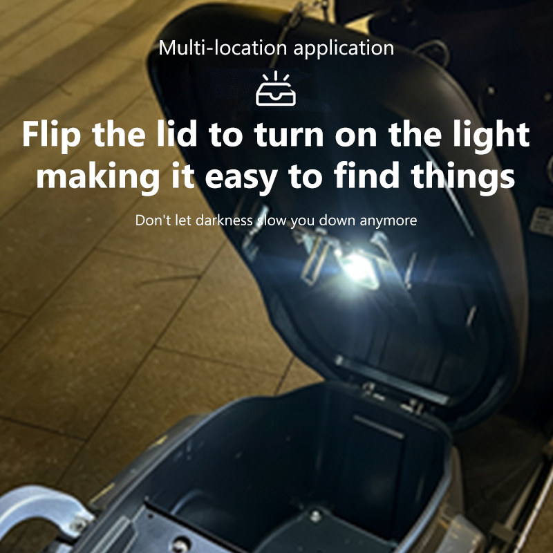 BLALION Motorcycle Locomotive  - đánh giá và giá Smart Led Garden
