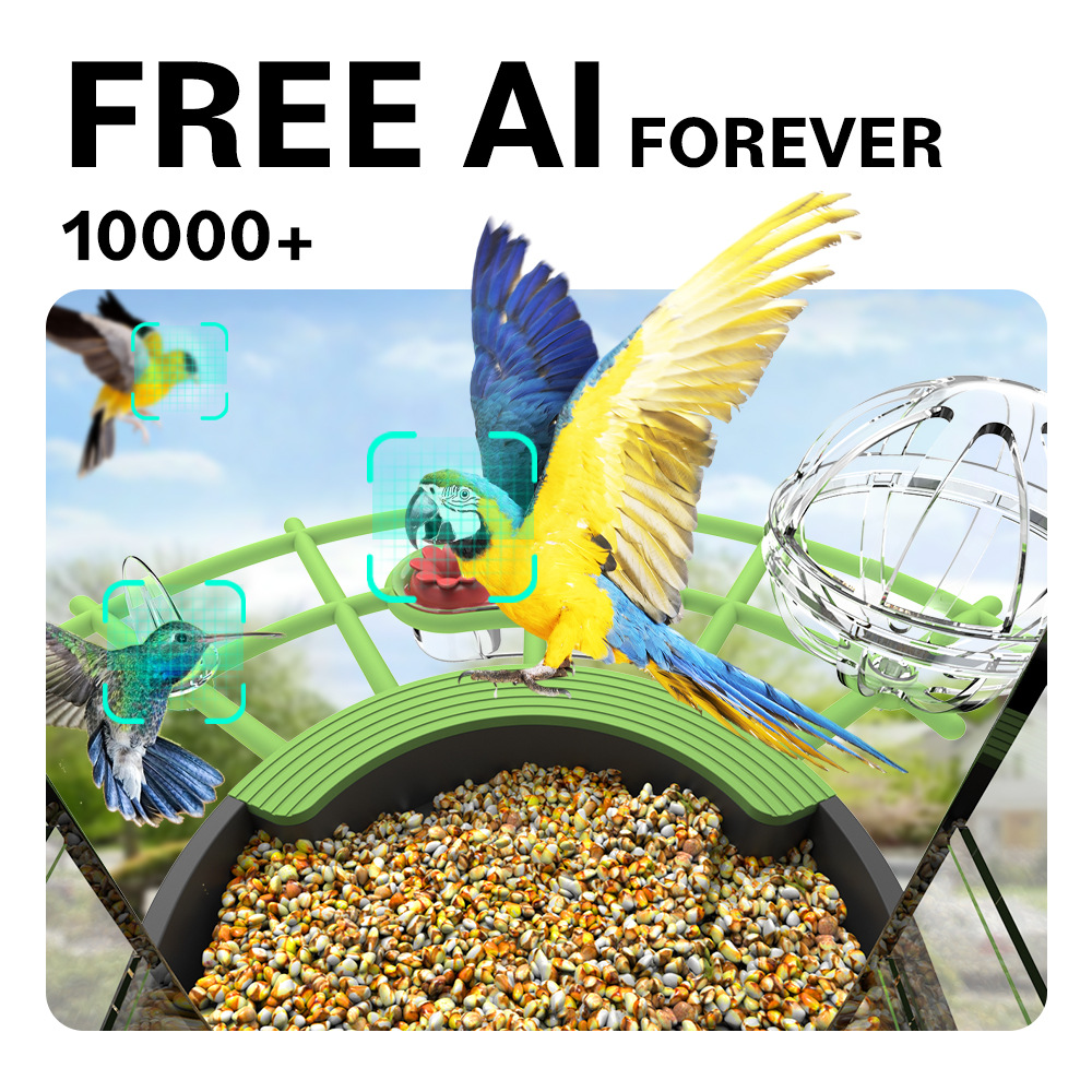 Wild Bird Feeder AI Identify S - đánh giá và giá Smart Bird Feeder Camera