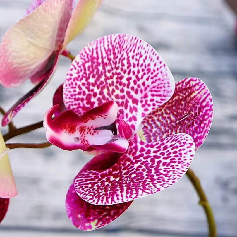 3D Artificial Flowers Plastic  - đánh giá và giá Smart Garden Storage