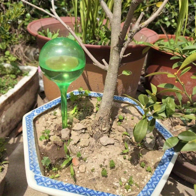 6PCS Indoor Plants Self Wateri - đánh giá và giá Smart Garden Tower