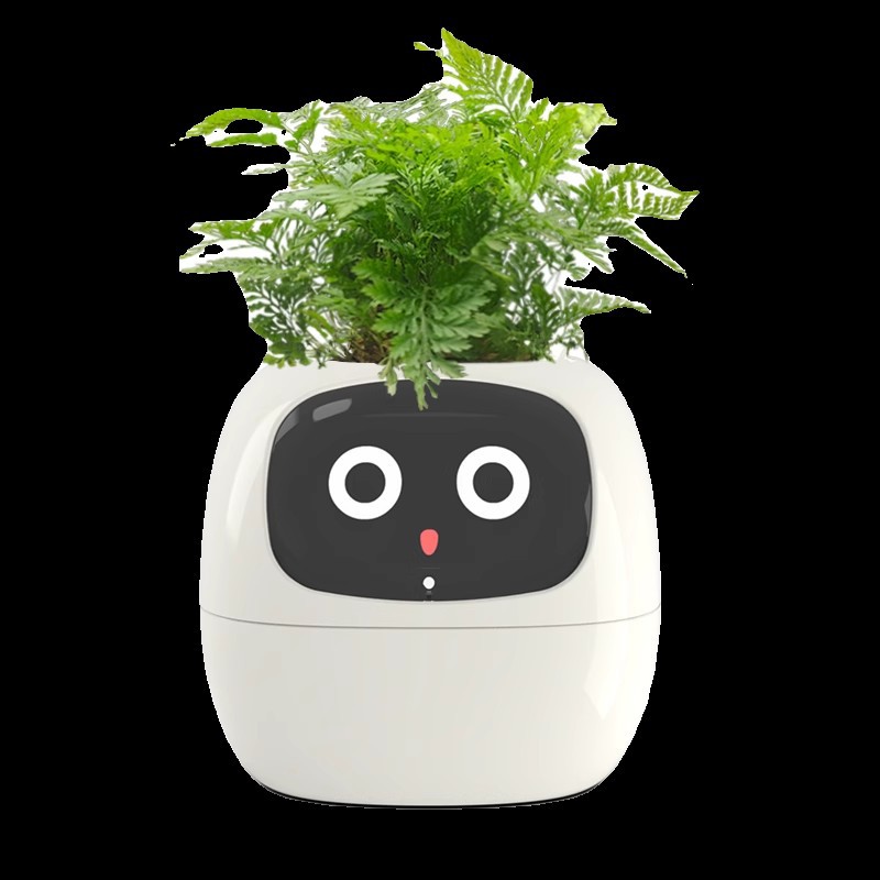 Sensor Smart Mimi Flower Pot F - đánh giá và giá Self Watering Pot Sensor
