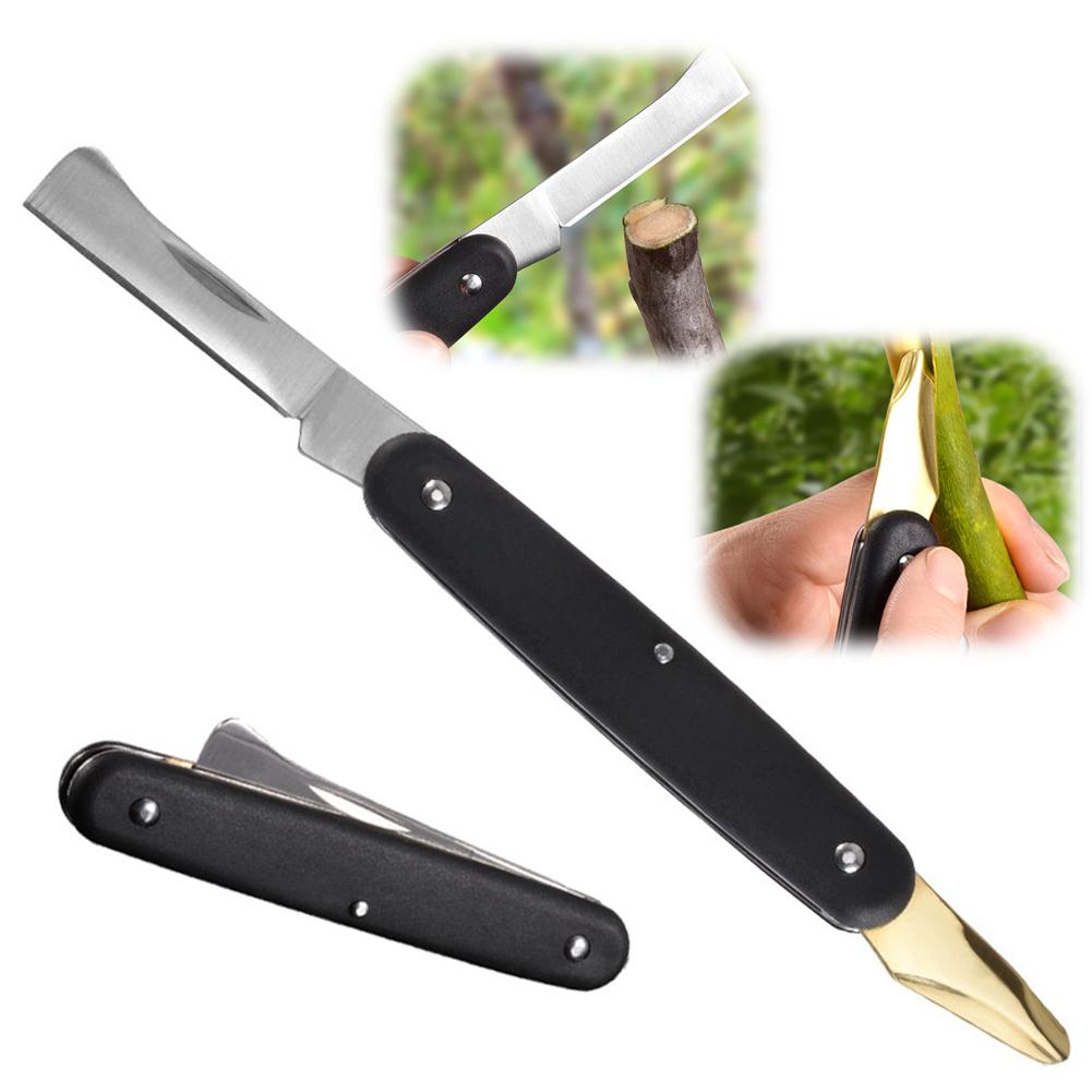 Fruit And Vegetable Grafting M - đánh giá và giá Smart Garden Edging