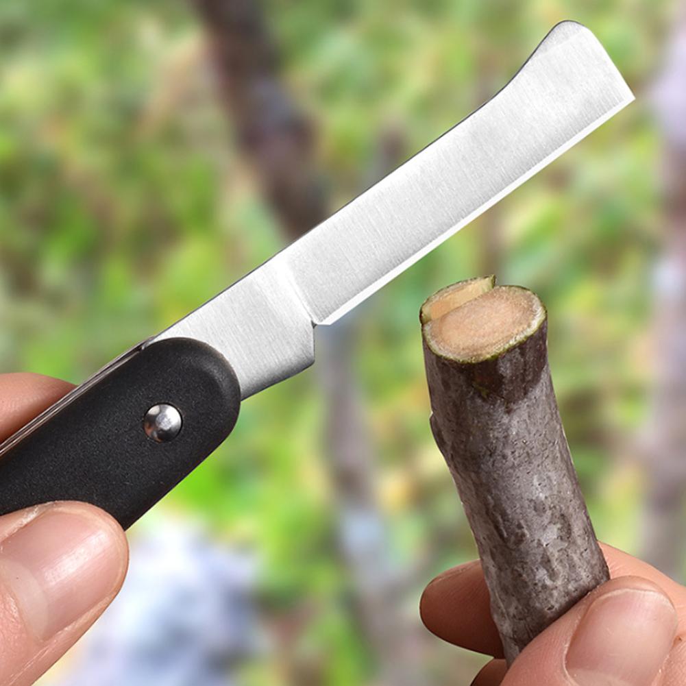 Fruit And Vegetable Grafting M - đánh giá và giá Smart Garden Edging
