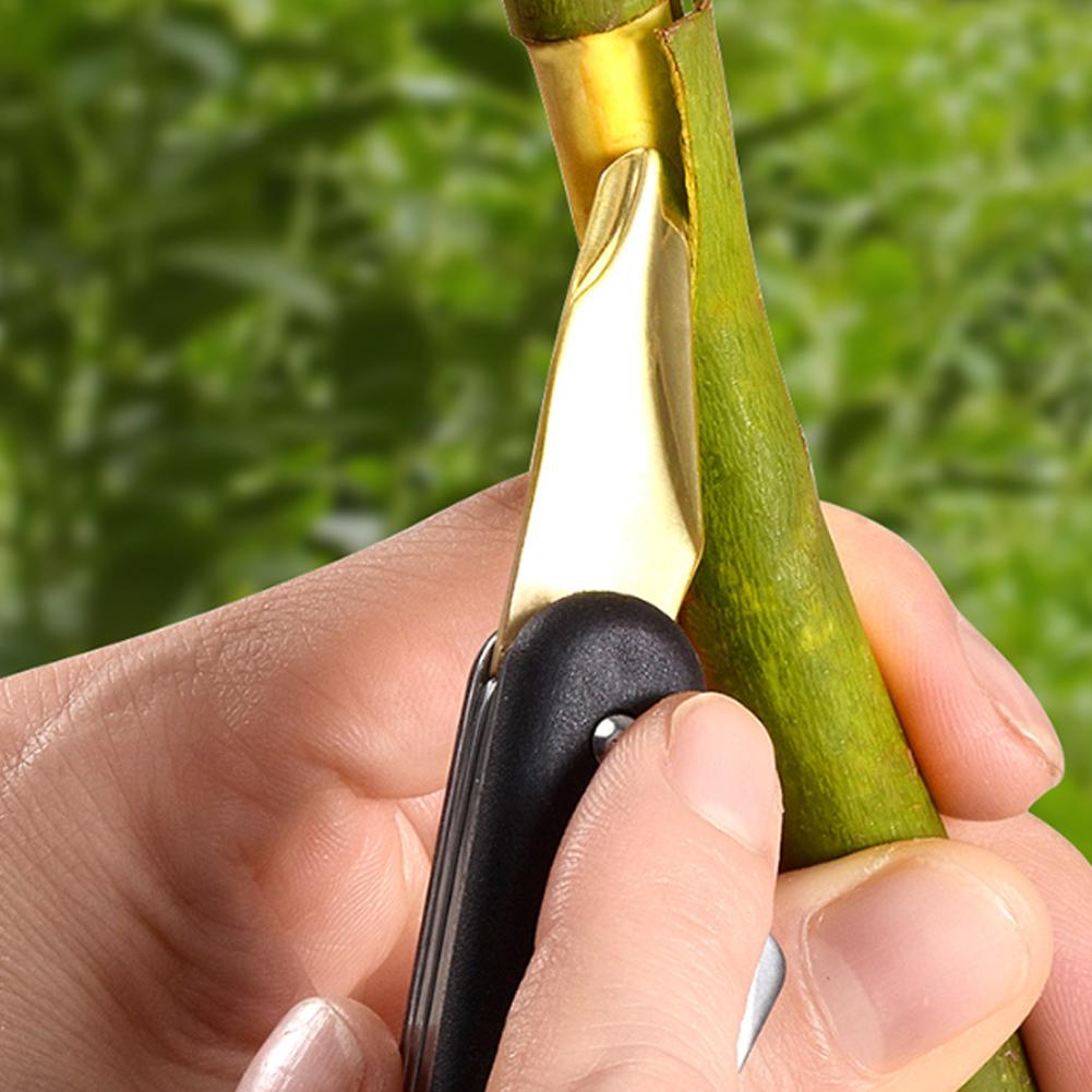 Fruit And Vegetable Grafting M - đánh giá và giá Smart Garden Edging