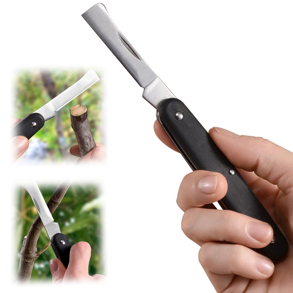 Fruit And Vegetable Grafting M - đánh giá và giá Smart Garden Edging