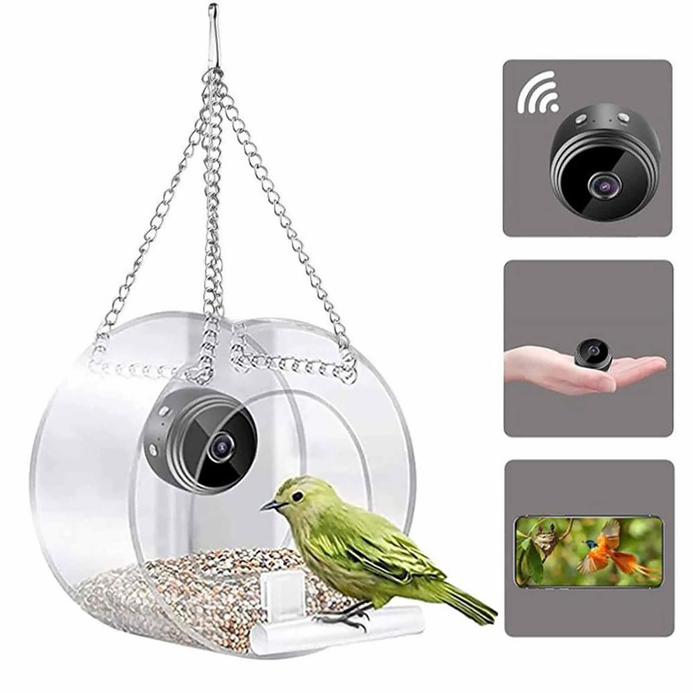 Bird Feeder With High Definiti - đánh giá và giá Smart Bird Feeder Camera
