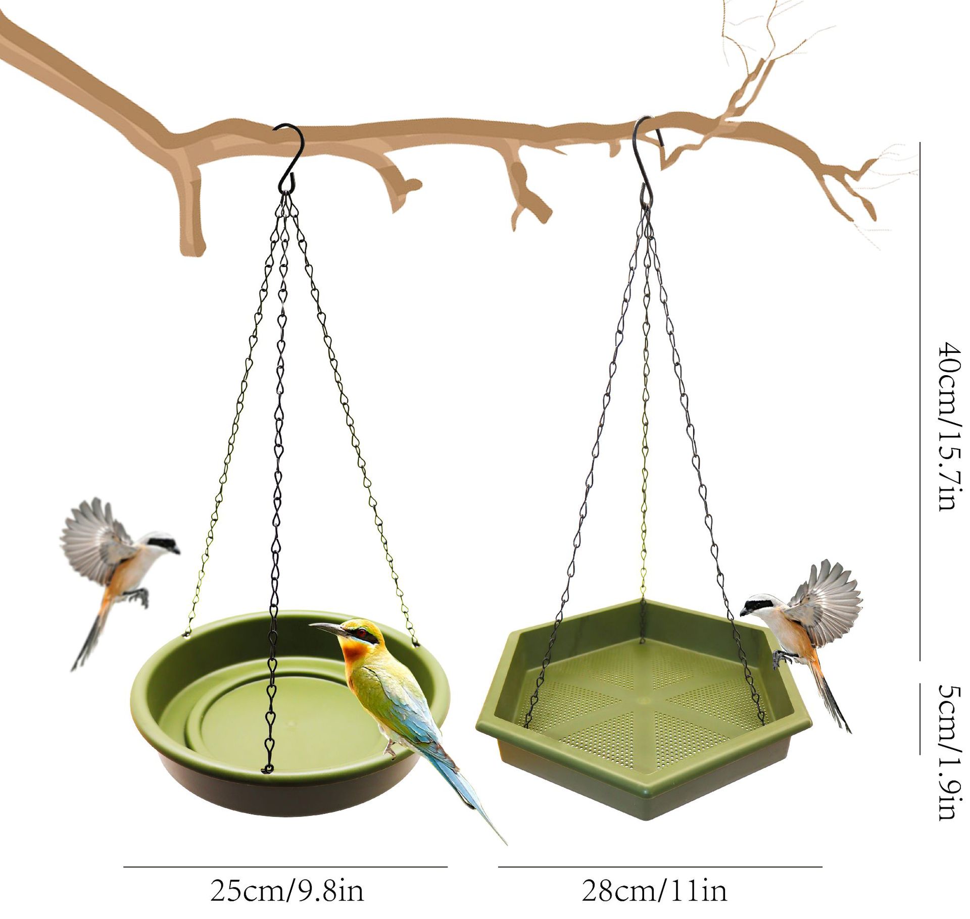 Hanging Wild Bird Seed Feeder  - đánh giá và giá Smart Bird Feeder Camera