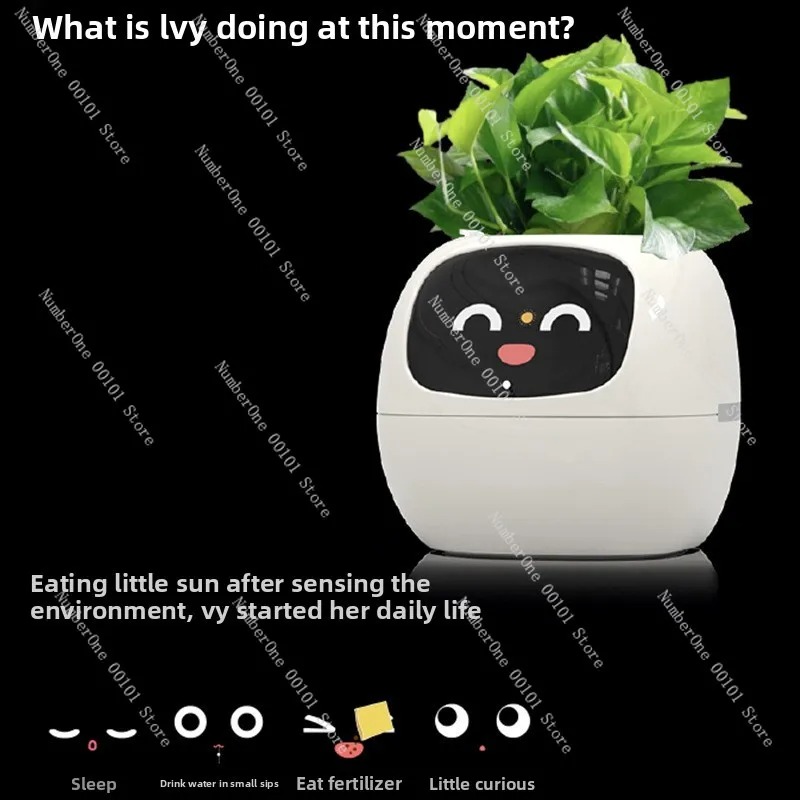 USB Rechargeable Self-Watering - đánh giá và giá Self Watering Pot Sensor