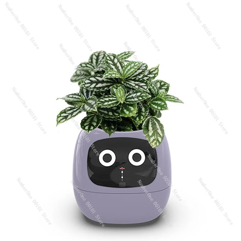 USB Rechargeable Self-Watering - đánh giá và giá Self Watering Pot Sensor