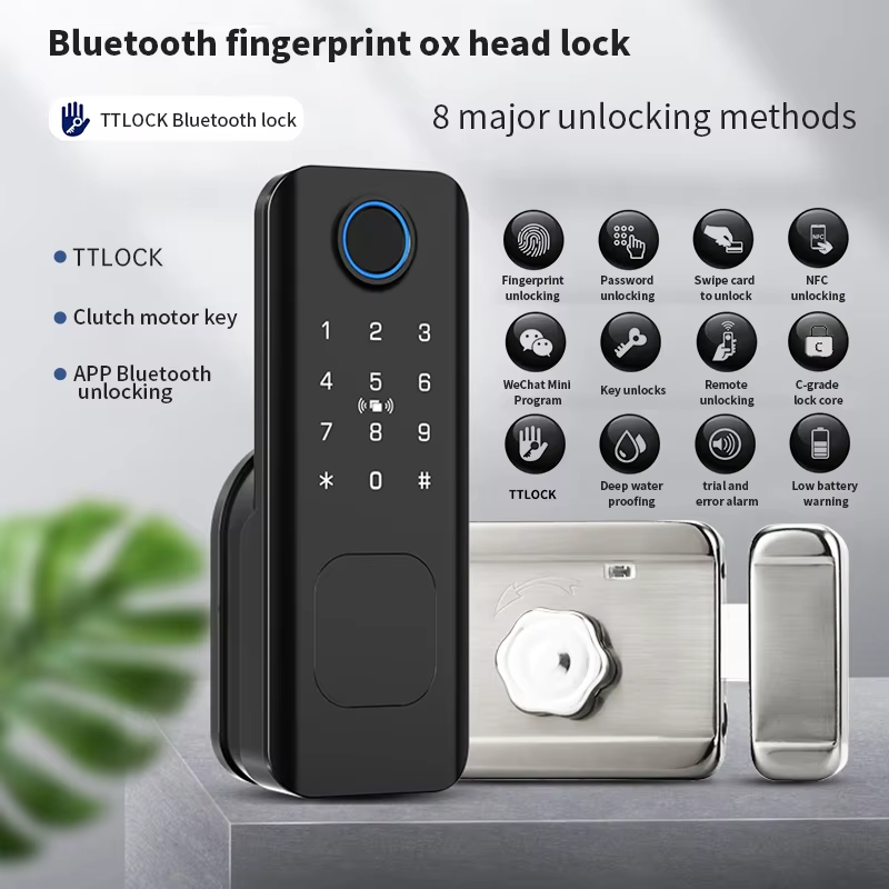 Beginnerr Tuya Ttlock Outdoor  - đánh giá và giá Smart Garden Lock