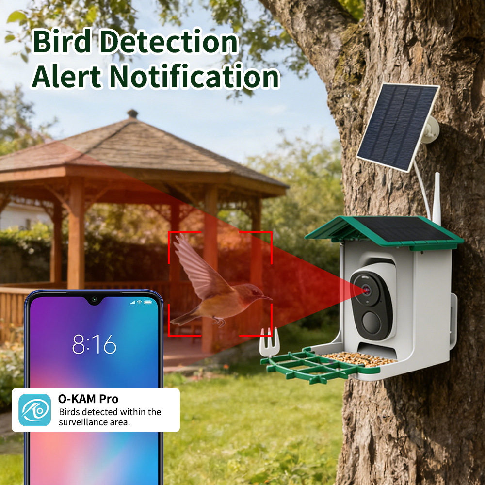 Smart Bird Feeder, Solar HD Co - đánh giá và giá Smart Bird Feeder Camera