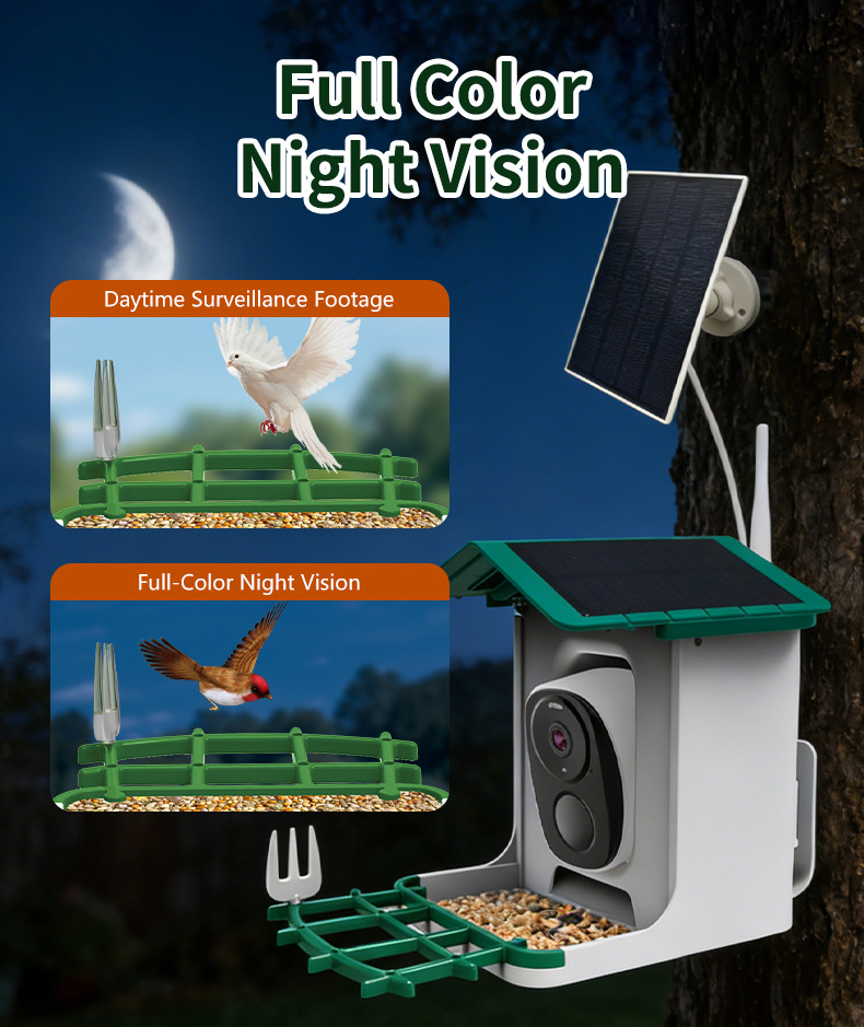 Smart Bird Feeder, Solar HD Co - đánh giá và giá Smart Bird Feeder Camera