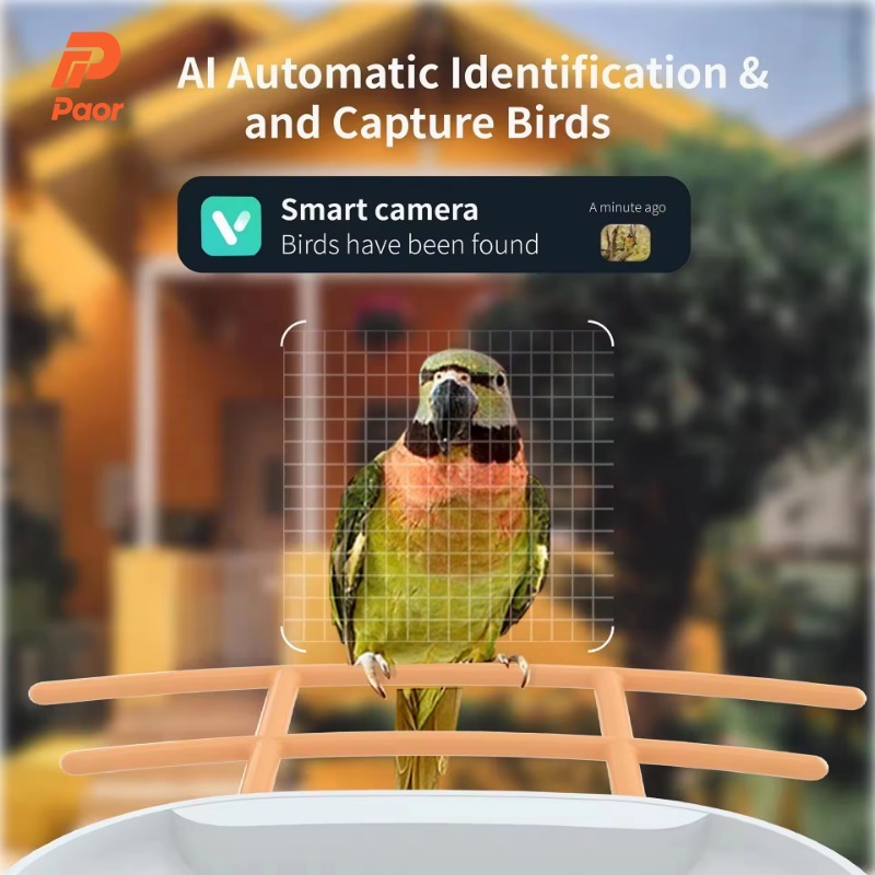 New Outdoor Solar Window Smart - đánh giá và giá Smart Bird Feeder Camera