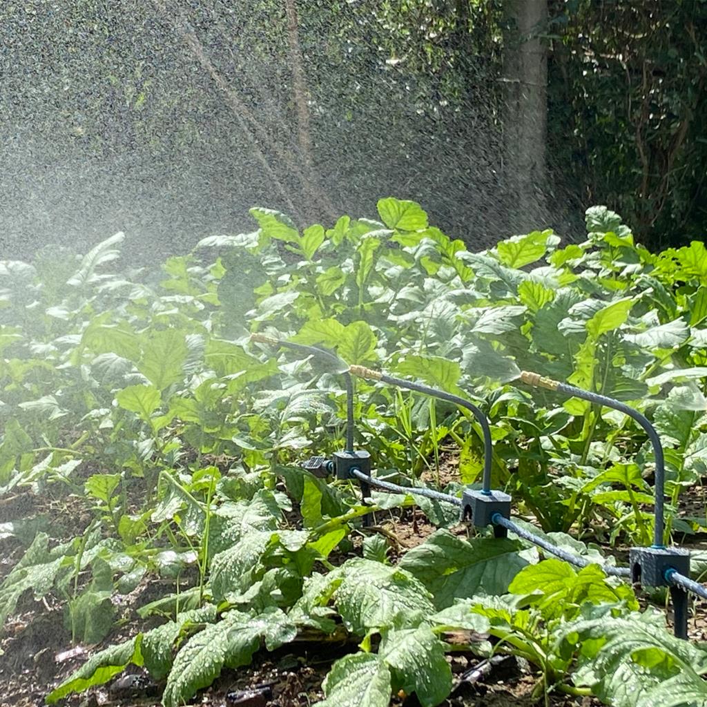 Watering System 5M-30M Drip Ir - đánh giá và giá Smart Garden Tower